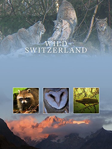 Wilde Schweiz - Season 1