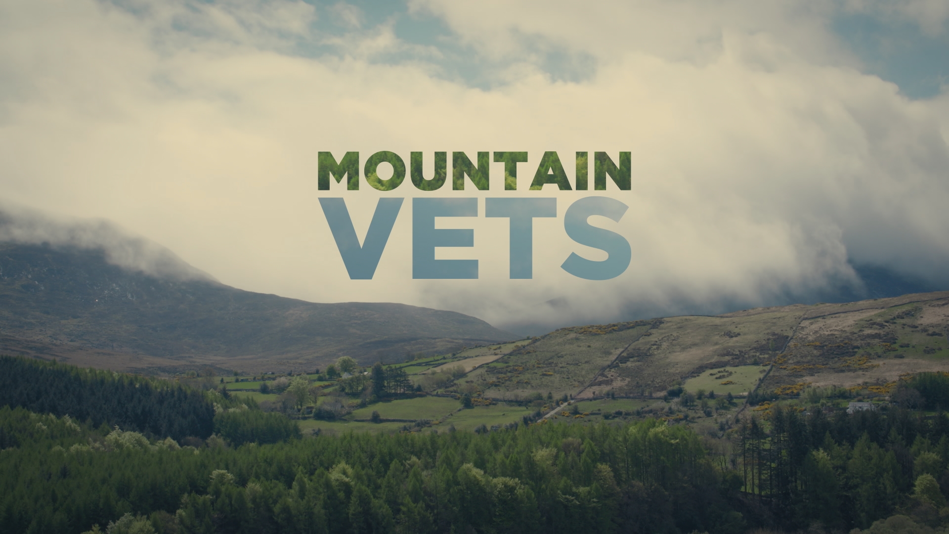 Mountain Vets - Season 1