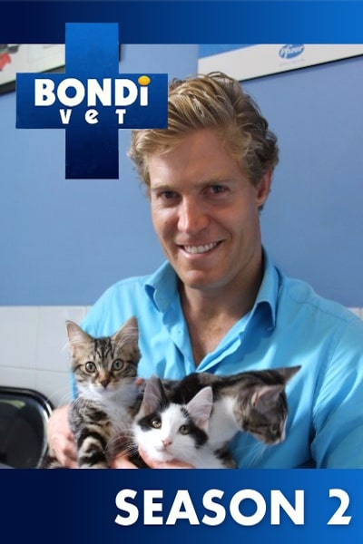 Bondi Vet - Season 2