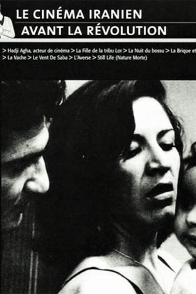 Brick and Mirror (Khesht va Ayeneh)