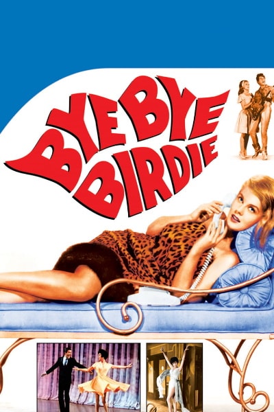 Bye Bye Birdie