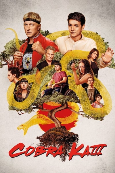 Cobra Kai - Season 3
